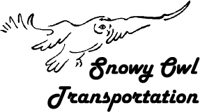 Long Haul Trucking Snowy Owl Transportation